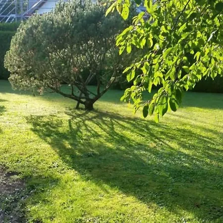 Splendid And Quiet Studio Surrounded By Green Genève