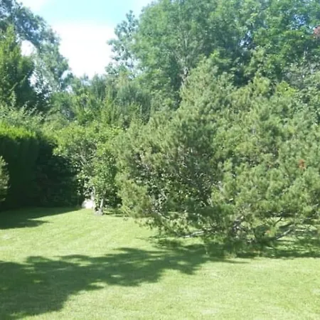 Splendid And Quiet Studio Surrounded By Green
